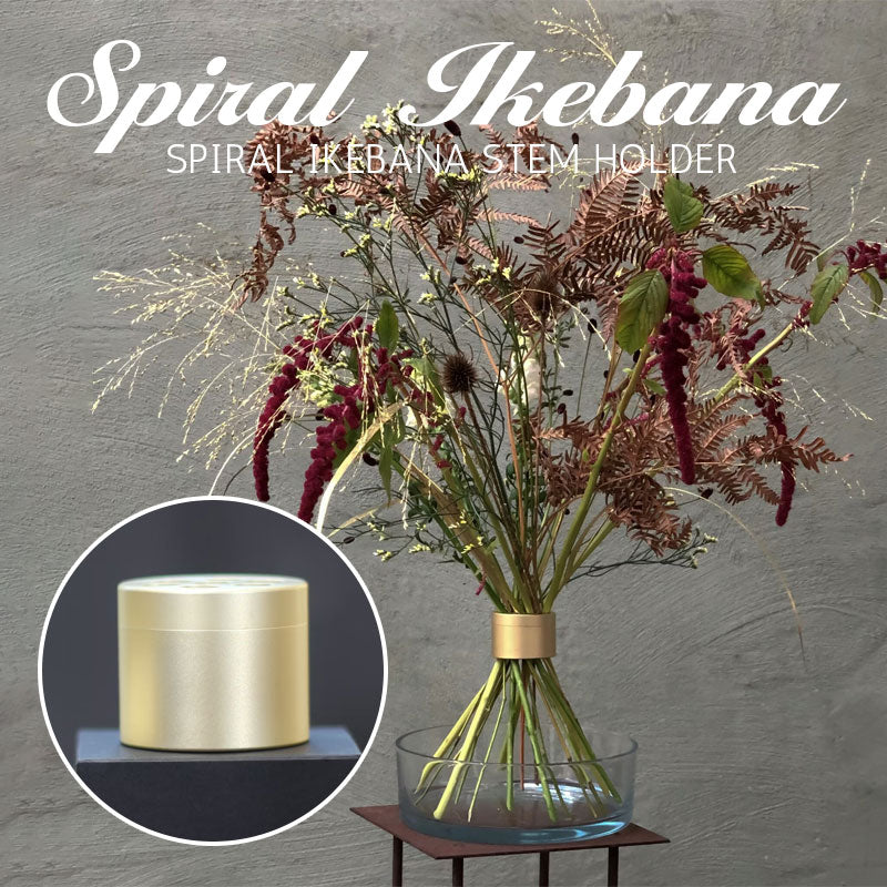 Spiralförmiger Ikebana-Stängel-Halter